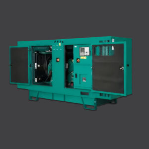 دیزل ژنراتور کامینز C1000 D5 (Cummins C1000 D5 Generator Set)