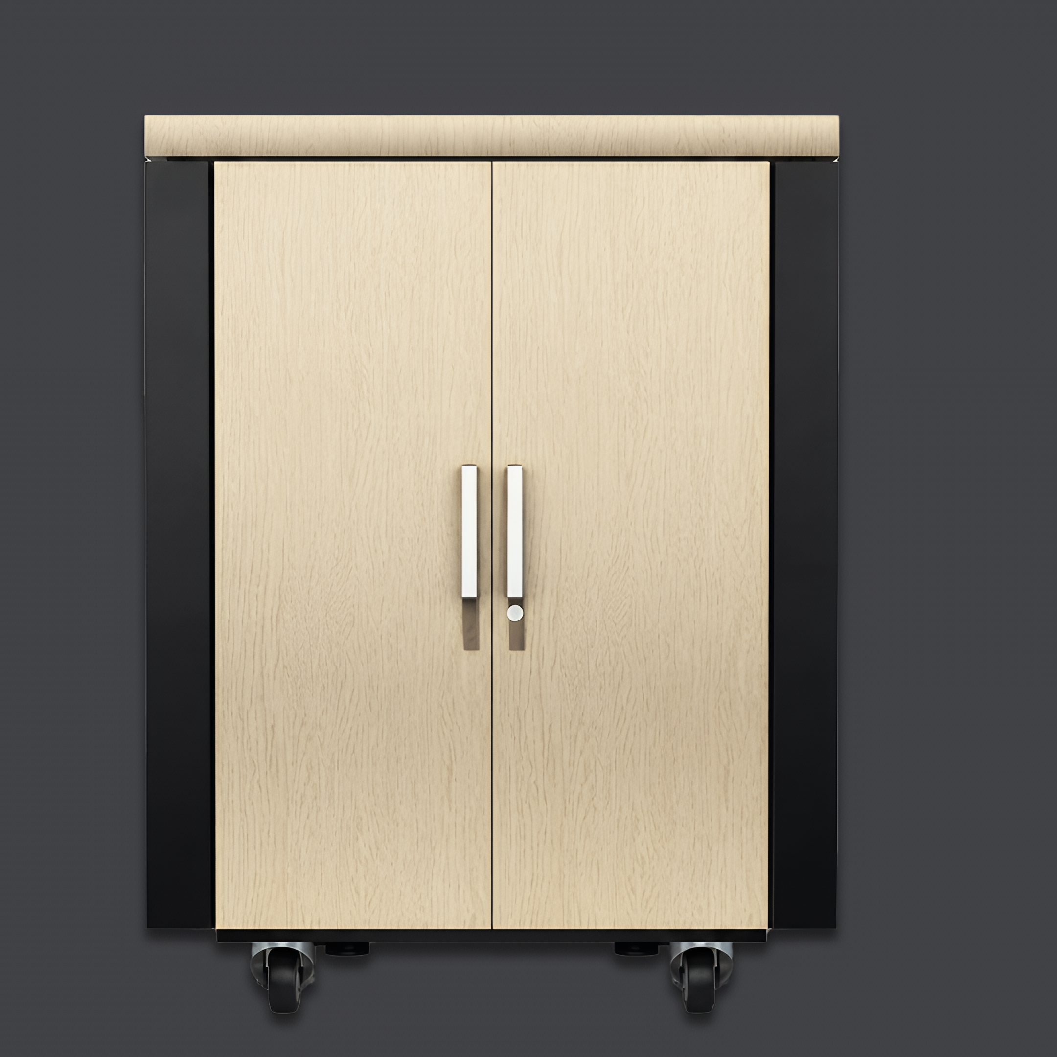 رک عایق صوت APC NetShelter CX 18U - تصویر 6