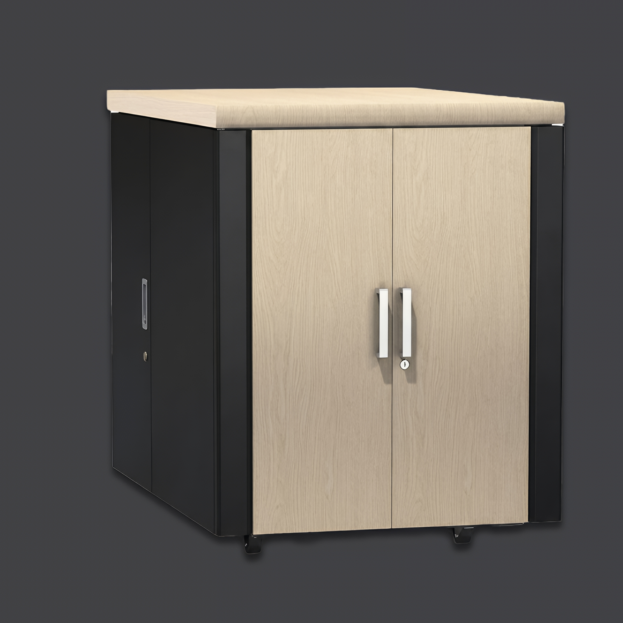 رک عایق صوت APC NetShelter CX 24U